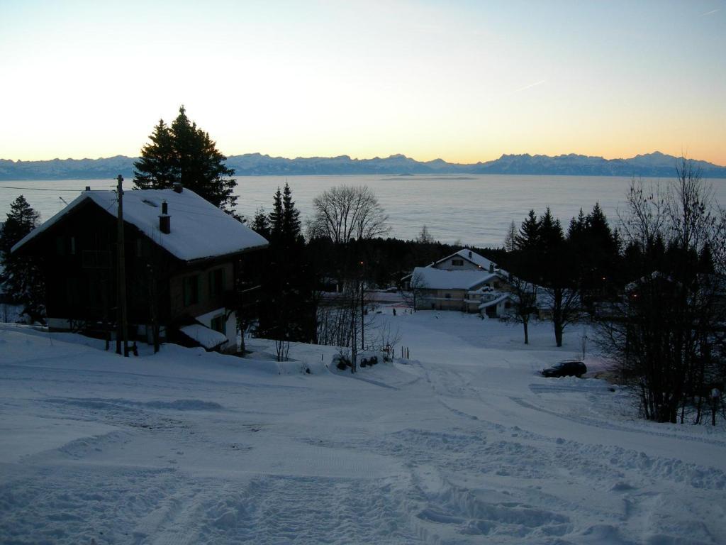Le Coucou Et Chalet Beau-Site Hotel Les Rasses Exterior photo